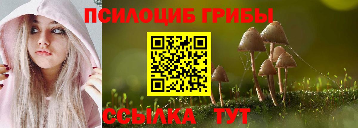 купить  цена  Вход с VPN  Кстово  Псилоцибиновые грибы GOLDEN TEACHER 